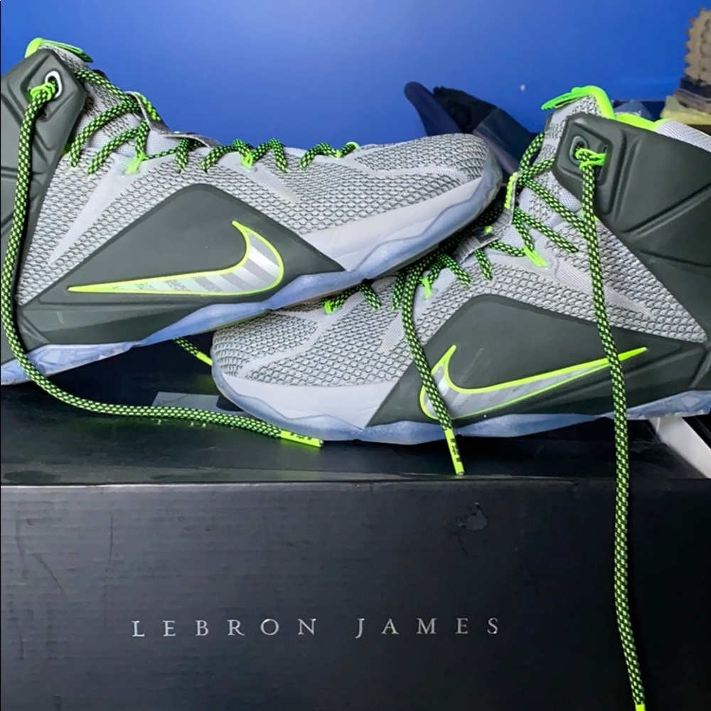 LeBron 12 Dunkforce